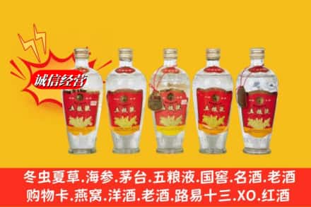 沧州市肃宁回收老五粮液